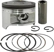 For SP200 DF200 RV200 DR200SE DR200S Engine Assembly Parts 66 66.25 66.50 66.75 67 mm Motorcycle Piston Rings(Assembly 66mm)
