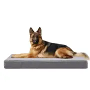 Extra Large Dog Beds, Memory Foam with Faux Fur, Orthopedic with Waterproof L...