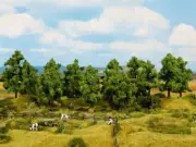 NOCH HO,TT Scale Deciduous Trees (16pcs, 100-140mm high)