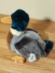 Ty Beanie Buddies "Jake" The Mallard Duck Plush Stuffed Toy 1998 (DSLRT01K)