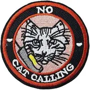 [Pinstant] No Cat Calling Women's Rights Feminist Girl Power 2.6" Iron On Embroidered Patch for Clothing