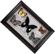 Cabilock Vintage Butterfly Frame Decor Elegant Specimen Picture Frame for Home Desk Ornaments Unique Wall Art Retro Inspired Aesthetic for Party and Home Decoration