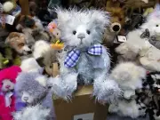 Charlie Bears Plush Year Bear 2025 Pic No 7 By Charlie Bears CB252546