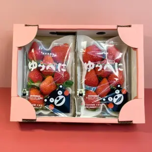 (一盒免運 年後出貨)熊本草莓 日本草莓 新鮮草莓 草莓禮盒 草莓批發 日本水果 草莓 水果禮盒