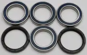 All Balls Wheel Bearing and Seal Kit 25-1565