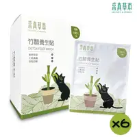 在飛比找momo購物網優惠-【求真草本】竹醋養生貼/盒裝10包裝x6入組(足貼.腿部紓壓