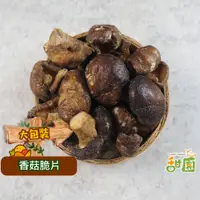 在飛比找PChome24h購物優惠-香菇脆片 200g 埔里香菇脆片 蔬果脆片乾燥蔬果 素食 香