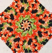 16 9.5" Lexington Gladiolus #2 * Stack 'n Whack Quilt Blocks * Kaleidoscope
