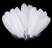 50pcs 15-20cm White Goose Feathers DIY Craft Dream Catcher Decor Cakes