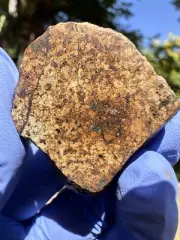 meteorite: NWA 16794 Weight 27.600 Beautiful L6