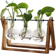 Plant Terrarium Wooden Stand, Wooden Stand Hanging Glass Vase Terrarium Hydroponics Container Pot, Desktop Glass Planter Bulb Vase with Retro Solid Wooden Stand