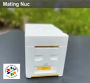 Mating Nuc - High Density Polystyrene, Frames & Components