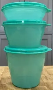 NEW-Tupperware Mini Stuffables Bowls (Set of 3) Containers with expanding lids