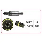 RAE Oxygen Sensor - OX611