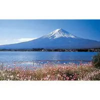在飛比找蝦皮購物優惠-日本正版拼圖． 富士山 花 湖 300片絕版拼圖，32-63
