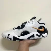 在飛比找蝦皮購物優惠-［已售出］Nike籃球鞋 PG6 Us10.5