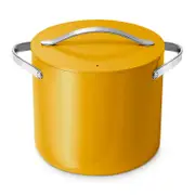 Caraway Cookware Plus Stock Pot with Lid