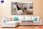 Alpaca Herd Meadow Abstract Design Canvas Collection Home Decor Wall Print Art