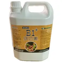 在飛比找蝦皮購物優惠-現貨【全館699超取免運】B1+活力素 微綠 開根劑 定植、