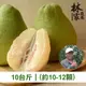 【林家莊園】產銷履歷麻豆文旦(10斤/箱)(約10-12顆)