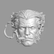 Wolverine X-Men w.cigar v2 custom head for Marvel Legends & other action figures