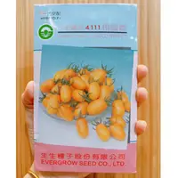 在飛比找蝦皮購物優惠-原包裝 1000粒 橙蜜香番茄種子 橙蜜香蕃茄種子 番茄種子