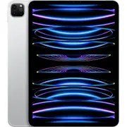Apple iPad Pro 11-inch 2TB Wi-Fi + Cellular (Silver) [4th Gen]