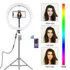 VIDEO MAKEUP RING LED FILL LIGHT DIMMABLE RGB FULL COLOR PHONE HOLDER KIT 12" D