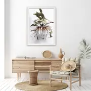 King Protea (white series) Canvas