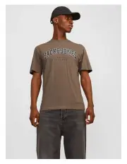[Jack & Jones] Jjecaleb Varsity Short Sleeve Tee in Brown