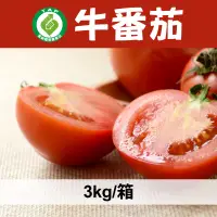 在飛比找台灣好農優惠-【福倪農場】產銷履歷-牛番茄 (3kg/箱)