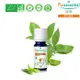 Puressentiel 璞萃 有機認證 甜羅勒精油 5ml (Ecocert有機認證, AB有機農業認證, HEBBD)