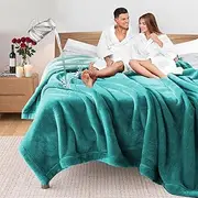 YISURE King Size Waterproof Blanket for Bed, 90"x80", Leak-Proof Design, Large, Reversible & Washable Bed Cover (Aqua/Turquoise)