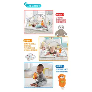 【Fisher-Price 費雪】感官訓練可愛動物健身器