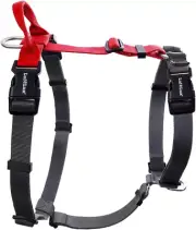 Non-Restrictive Freedom No Pull Dog Harness for Large Dogs, Neck-Buckle, Six Poi