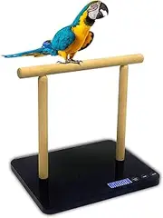 MINDPET-MED Digital Bird Scale With Perch, Max 44lbs Capacity, Precision up to ±1g, Black, Suitable for Parrot and All Kinds of Birds