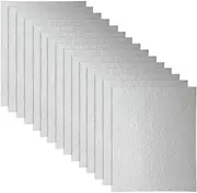 WuYan 15pcs Microwave Oven Parts Mica Slice Super Thick Heat Insulation Accessories, 150mm * 120mm Mica Sheet Repairing Accessory for Microwave Oven