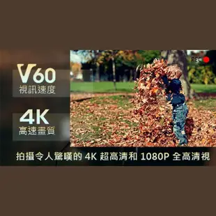 【AXE MEMORY】專業級SDXC 256GB V60 UHS-II 防水防震防X射線 記憶卡 U3 4K(台灣製造 耐高低溫)