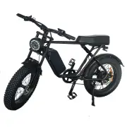 [USA DIRECT] WQ Q8 Electric Bike 48V 17.5Ah Battery 1000W Motor 20Inch Tires 50-70KM Max Mileage 150KG Max Load Electric