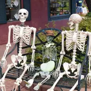 90cm Human Skeleton Skull Full Body Model Halloween Medical Party House Props AU