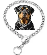 Silver Choker Collar for Dogs,Heavy Chain Dog Collar Metal Training Slip P Link Martingale Collars Puppy Choke Chain for XXS XS Small Medium Large Breed Dogs, L