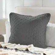Abel Cloud Charcoal European Pillowcase [ESSBABCLEU23D]
