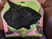 Wicked Elphaba's Hat ~ The Noble Collection ~ New In Box ~ Wizard Of Oz