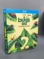 A Real Bug's Life Season 2 (2025) 1-Disc New Box Set Sealed