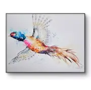 Original watercolour painting signed by Elle Smith Art of A Of A Pheasant bird