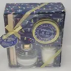Winterberry & Ivy Reed Diffuser & Candle Gift Set