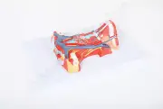Anatomical Human Live Size Neck Model - Medical Skeleton Anatomy