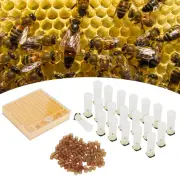 Queen Bee Rearing Box Cage Plastic Breeding Cell Cup Kit Beekeeping Equipments