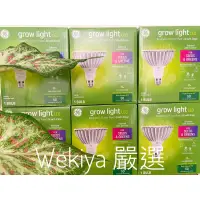 在飛比找蝦皮購物優惠-【wekiya 嚴選】全新奇異GE 32w PAR38 植物