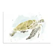 Artey | Watercolor Sea Turtle Study I - Stretched Canvas - Stretched Canvas - 55 x 70cm
